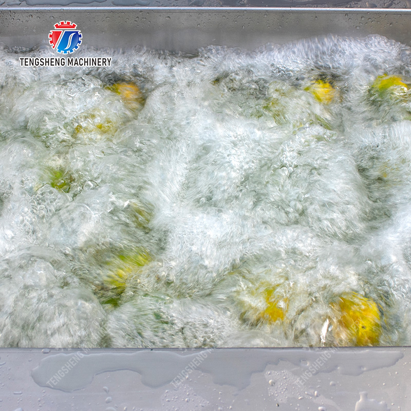 Citrus cleaning production line Fruit Orange Wash Washer Washing Cleaning Dryer