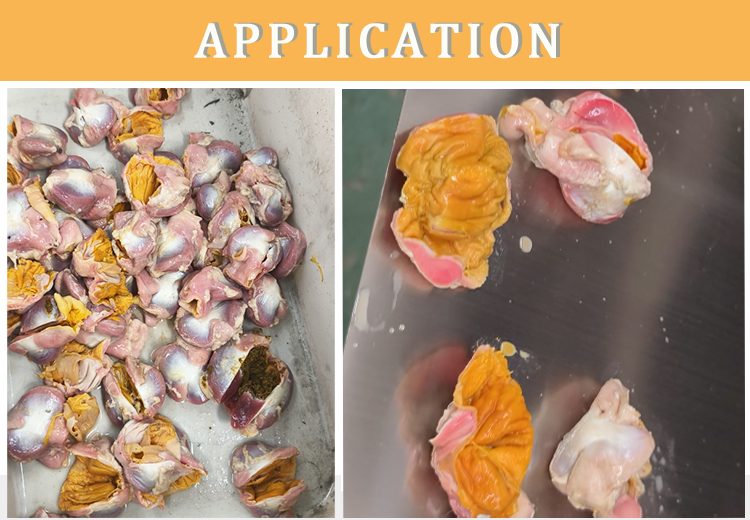Fully Automatic Poultry Chicken Duck Gizzard Opening Cleaning Machine