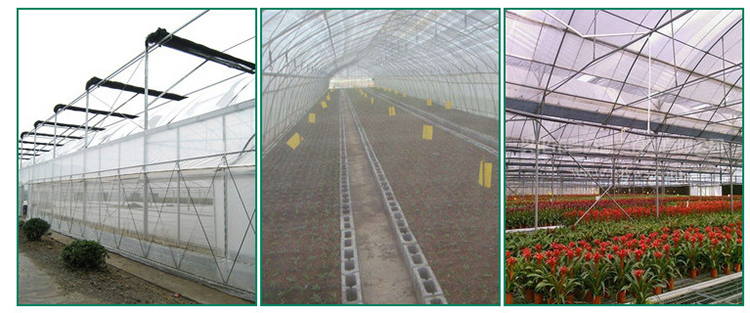 White Anti Bee Net Hail Net Hail Proof Net for Tree Crop Protection, Bird Insect Protection Net, Garden Fish Pond Net