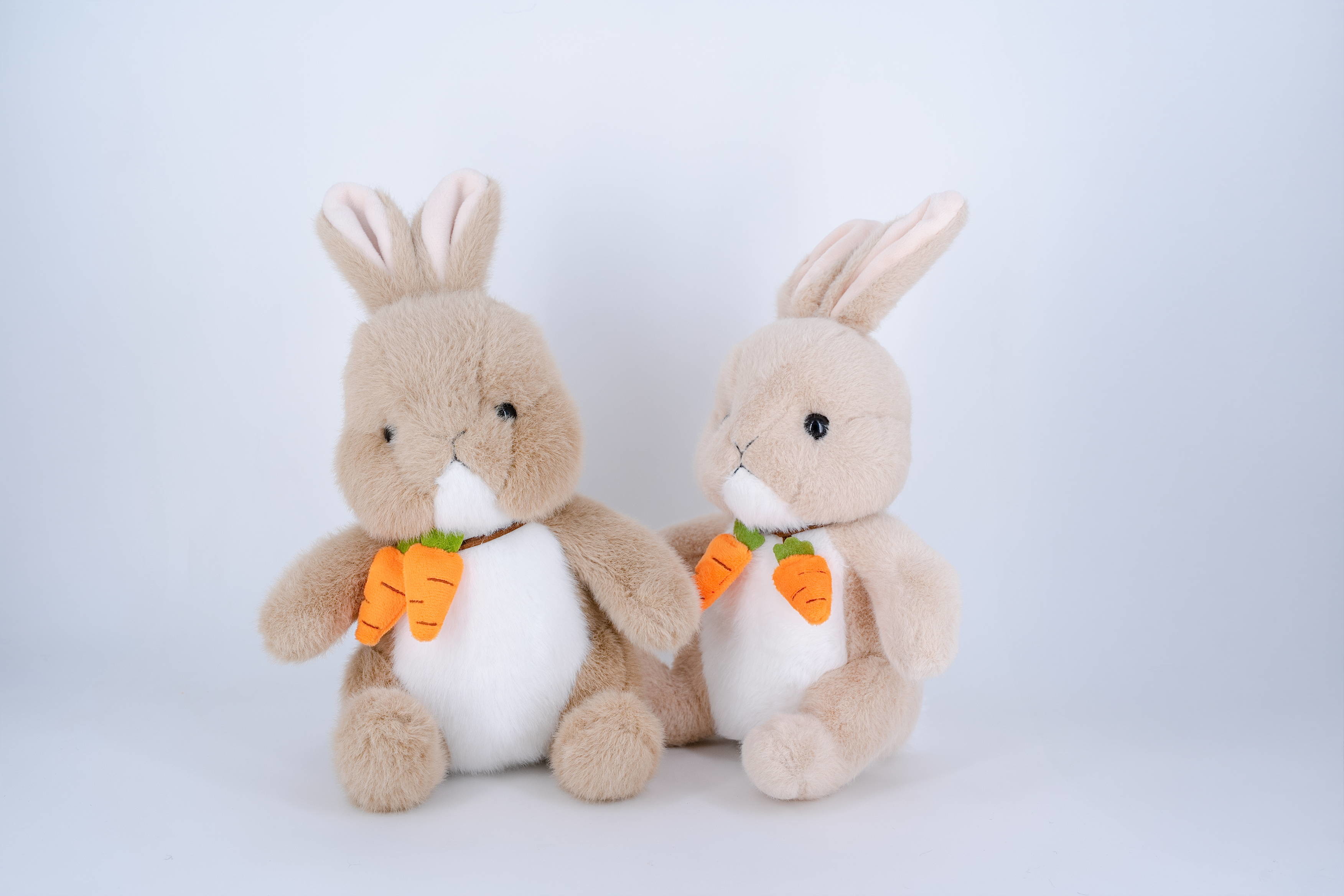OEM Custom Design Made Mascot Dolls Carrot Rabbit Holding Cute Plush Toy