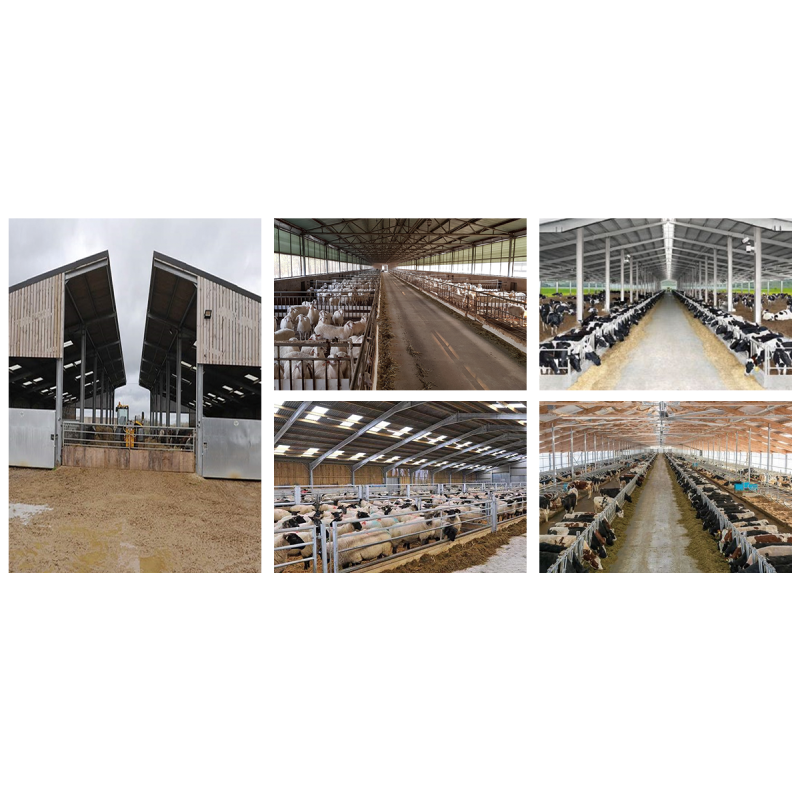 Professional Light Steel Structure Agricultural Farm Workshops Custom Poultry Farm House