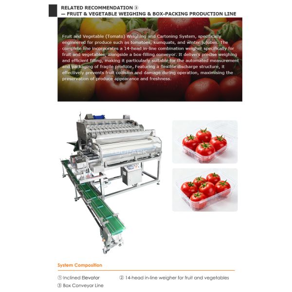 Automatic Fruit Punnet Packing Machine For Blueberry Strawberry Cherry Tomato