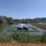 River Circulation Solar Pond Fountain Aerator 0.7KW Weather Resistance