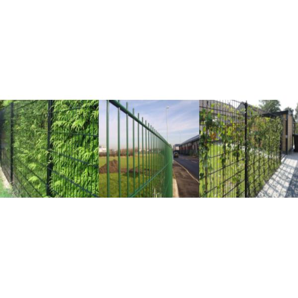Welded 0.5m Width Double Loop Wire Fencing 868 / 656 For Garden