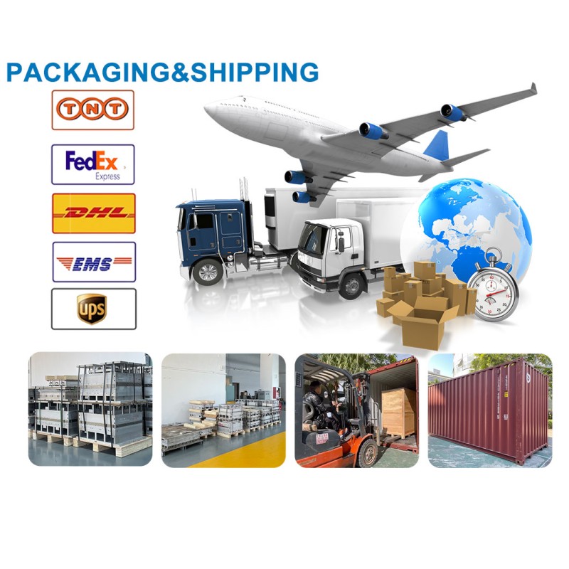 PP Plastic Cake Box Container Fully Automatic Three Station Thermoforming Fruit Packaging Mold