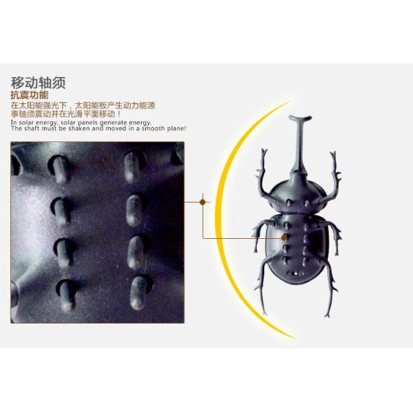 Long Lasting Solar Insect Killer Solar Powered Device Designed for Pest Control in Agricultural and Commercial Settings