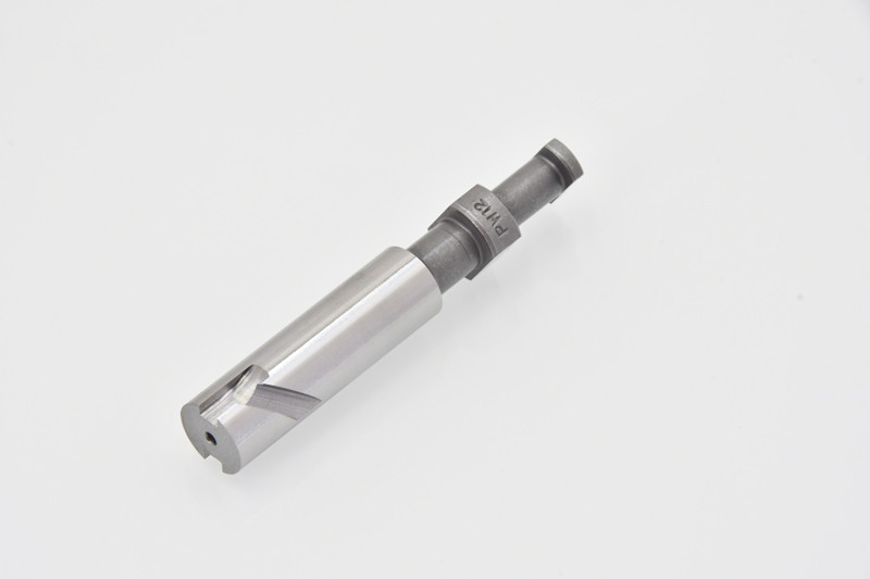 Fuel Injection Pump Plunger PW12 for diesel injector