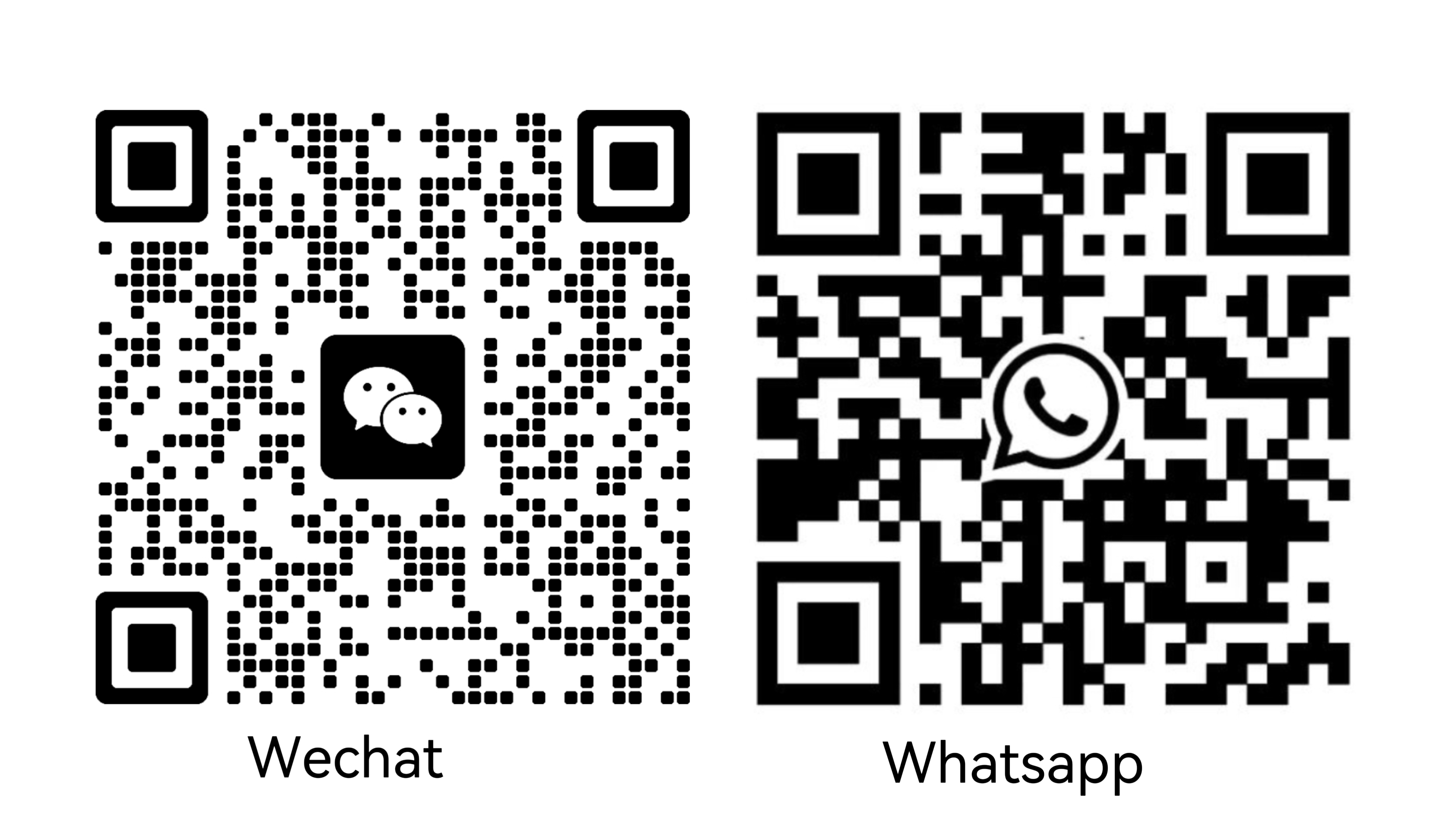contact us