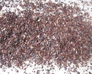Quality Cocoa peeling machine, cocoa peeler, cocoa bean skin removing machine for sale