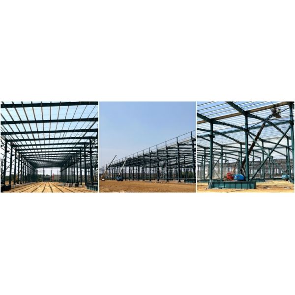 Recyclable Prefab steel Framed Agricultural Buildings Structure System Custom