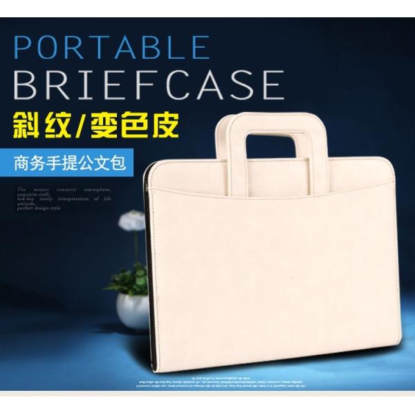 Business portable briefcase