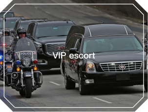 Professional Wireless Detector Anti GPSGSM Wifi Digital Radio Frequency Detector 50MHz-8GHZ