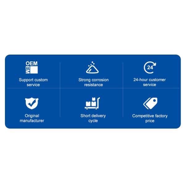 Industrial Electronic Balance Platform Floor Weighing Scales with Customized OBM Support and Carbon Steel
