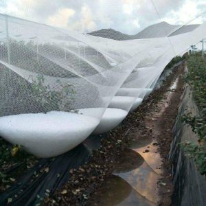 China Anti Hail Net Agriculture Mesh HDPE Apple Tree Garden Hail Proof Netting Polyethylene Cheap Price Hail Guard Net Car Hail Protection Net Anti-Insect Hail Netting for Agricultural Apple Trees on sale