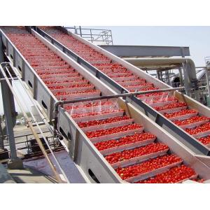 Quality Complete sauce processing machine for tomato processing plants for sale