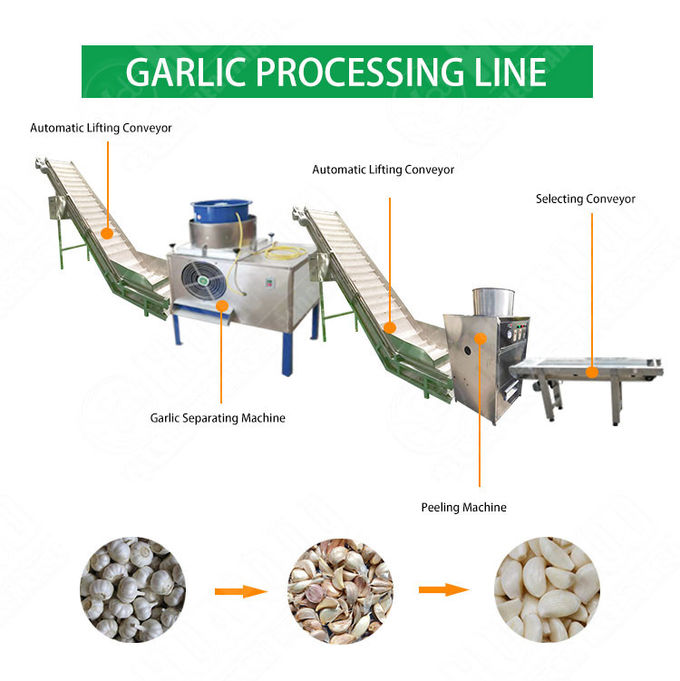 1000-2000 kg/h Industrial Automatic Garlic Peeler Processing Machine Production Line