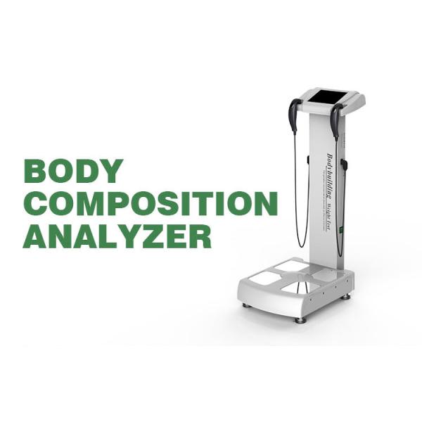 Professional Body Composition Analyzer 53VA , ODM Fat Test Machine