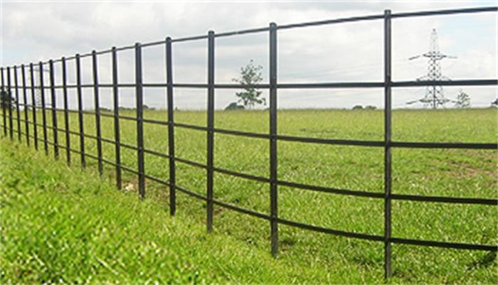 China Traditional Security Steel Palisade Fencing Simple Structure Low Maintenance on sale