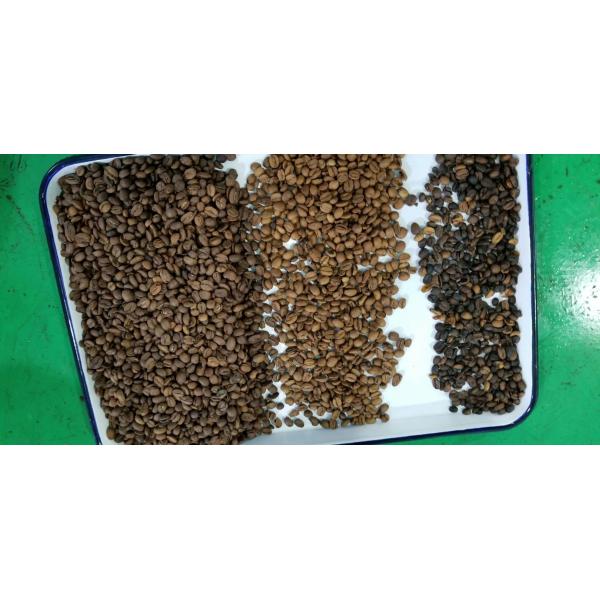 High Sorting Accuracy Coffee Grain Color Sorter Machine Rice Plastic Nut Sorting Equipment Multi-function