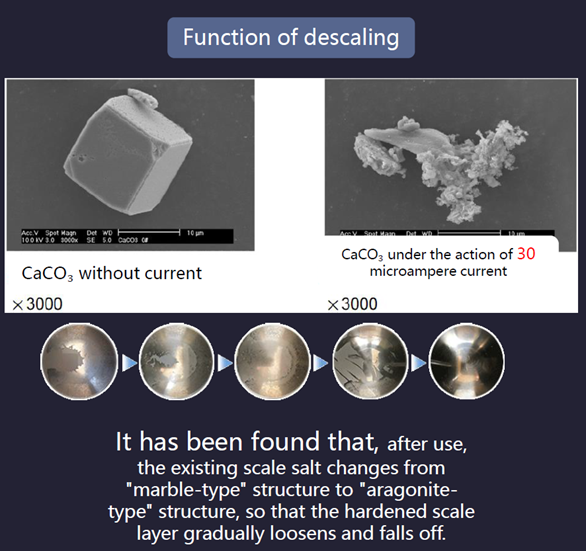 Physical Whole House Water Descaler