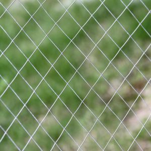 0.9mx50m Chicken Mesh Fence