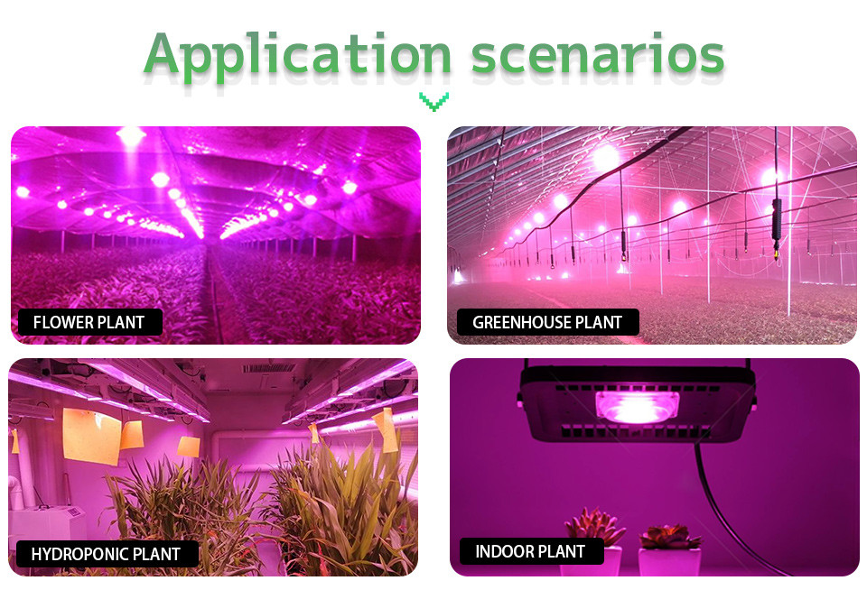 230V AC COB LED Chip High Power Garden Lighting Epistar Chip