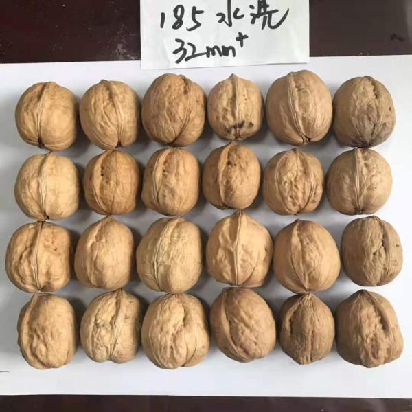 Hot New Crop Amazon hot sale premium edible walnuts Without Shell Manufacturing wholesale in China