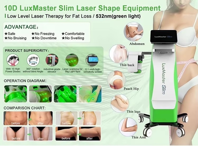 10D Laser Body Shaping Machine Fat Removal High Power 532nm Laser Weight Loss Cold Light