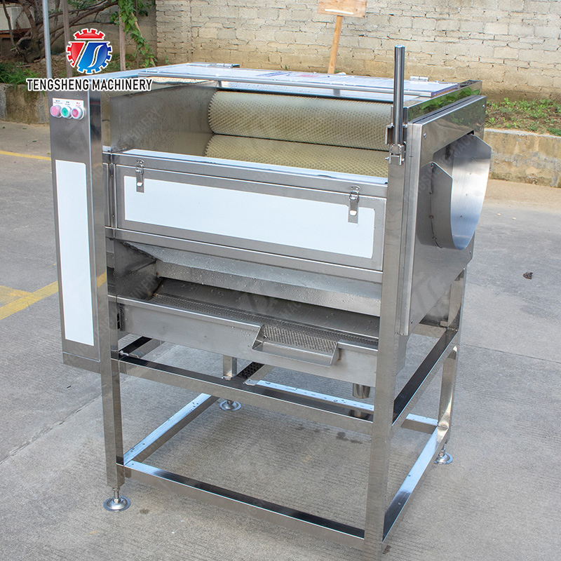 Citrus cleaning production line Fruit Orange Wash Washer Washing Cleaning Dryer