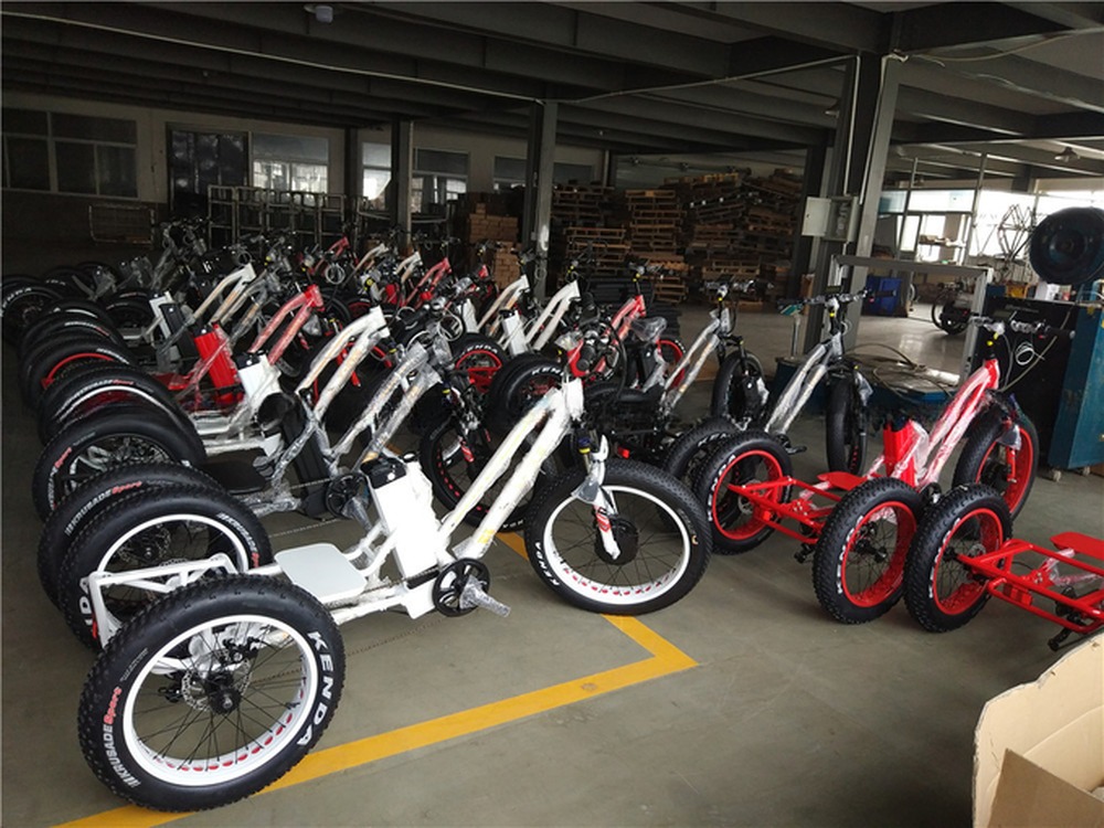 Disc Brake 750W Electric Cargo Tricycle Fat Tire 3 Wheel E Trike for Long Range Travel
