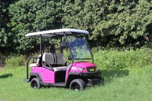 Quality Pinky Golf Buggy 48V 2+2 Seater with Trojan Battery for sale
