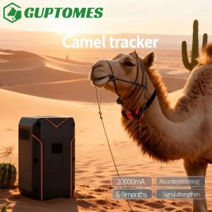 Quality Camel Livestock Animals GPS Tracker Long Standby Multi Mode Accurate Positioning for sale