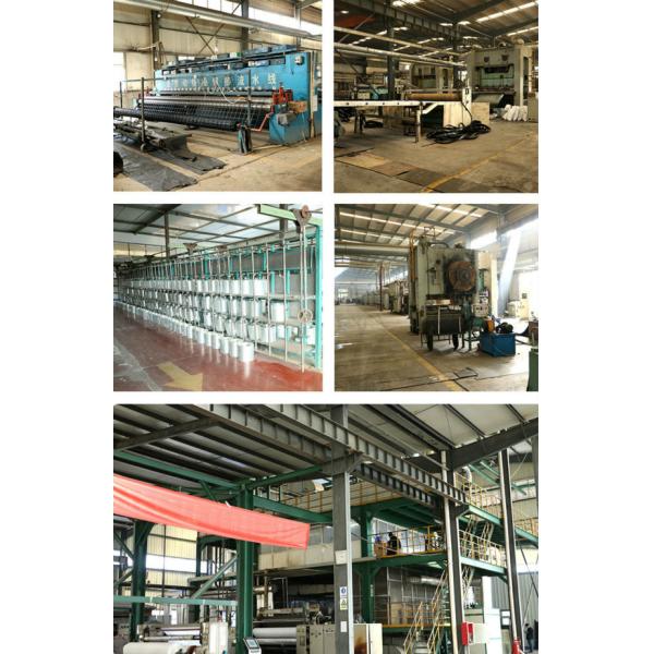 High Tensile Strength Pp Biaxial Plastic Geogrid Mesh