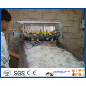 CE Apple Processing Line with Automatic Disinfection Liquid Concentration