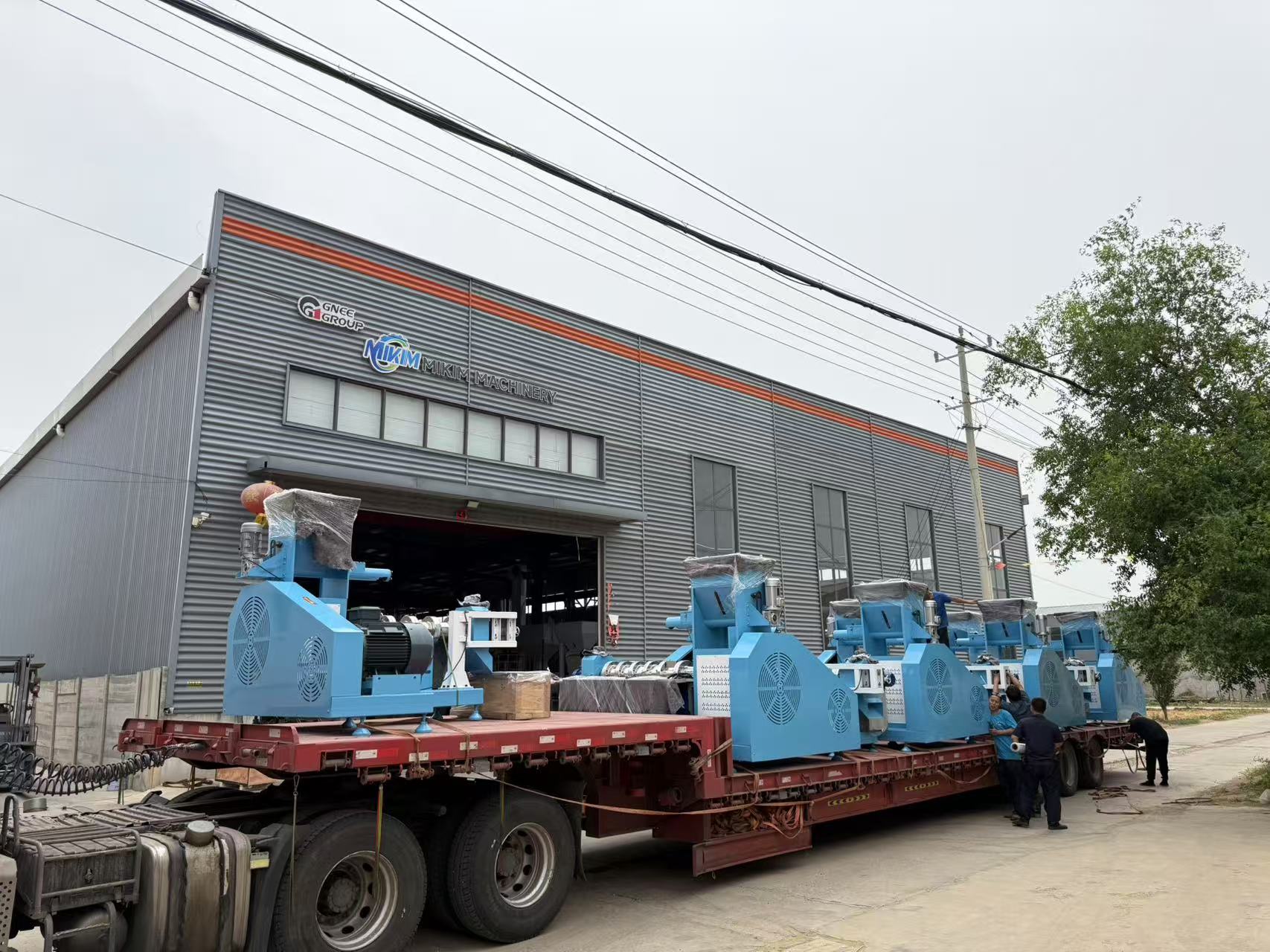 Floating Fish Food Manufacturing Machine