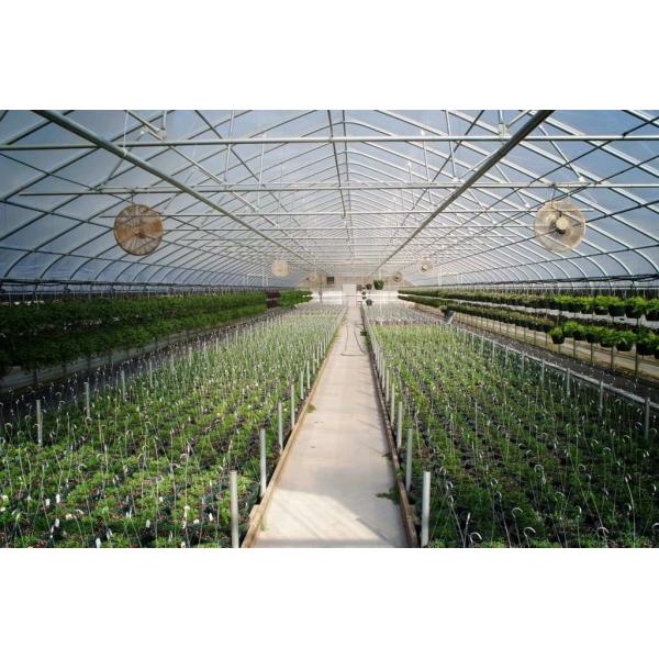 275g/m2 100m Plastic Gutter Single Span Greenhouse