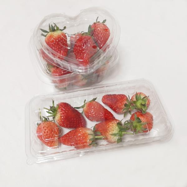 Wholesale Disposable Ripping Strip Take Away Food Fruit Salad Blister Clamshell clear Packaging Container