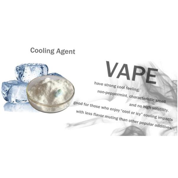 Functional Cooling Agent Liquid Raw Materials Ws-23 Flavors Food Grade