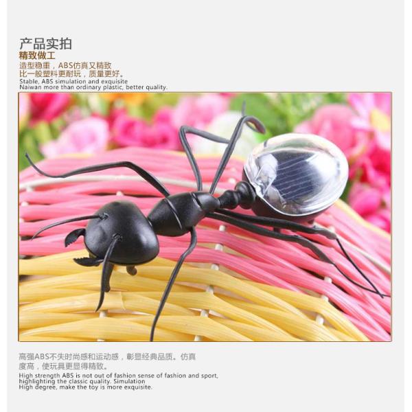 Manufacturer Direct Supply Moving Solar Toys Powered Plastic Insect Animal Novelty & Gag Toys Solar Panel Toy