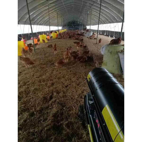 Industrial Construction Space Diesel Air Heater Poultry Farm Chicken House Kerosene Blower Heater Greenhouse Diesel Heater