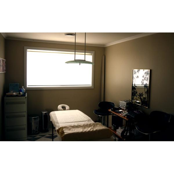 2017 most popular 100% polyester roller blinds plastic chain window blinds very low price roller shades fabric