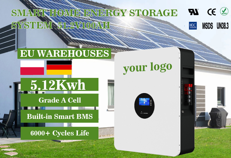 Customized 48V 100Ah 200Ah Energy Storage Battery Rechargeable Power Wall Lithium Ion Battery 5kWh 10kWh for Home Power Backup
