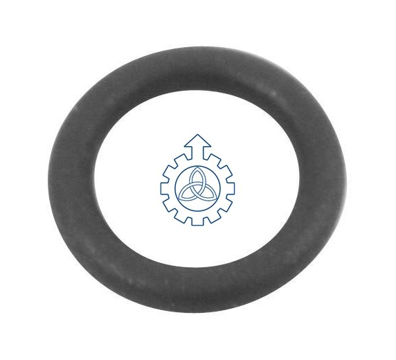 O-ring 07981946,7981946