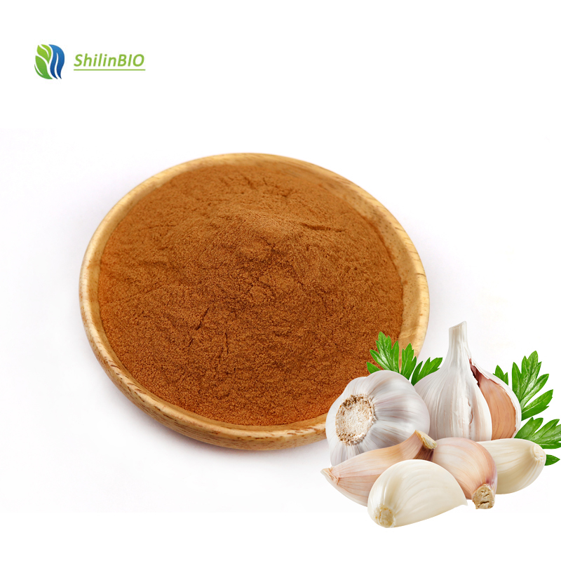 Garlic Extract Powder 10:1 Food Grade Garlic Extract 5% Allicin Powder