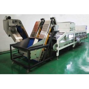 Quality Large Yield Date Sorting Machine 8 Lanes For Food 50Hz 7.5KW for sale