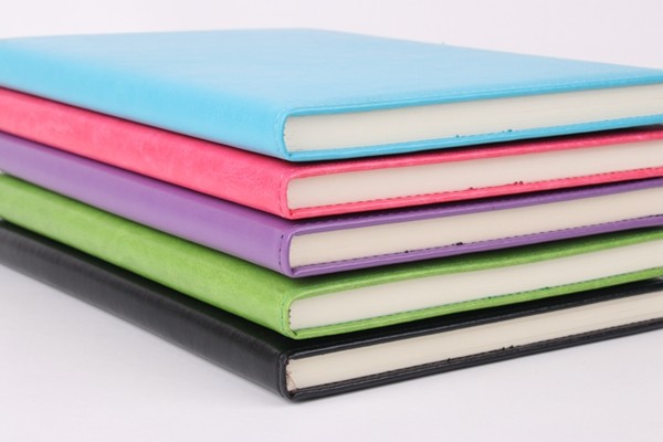 Classic business loose-leaf notebook