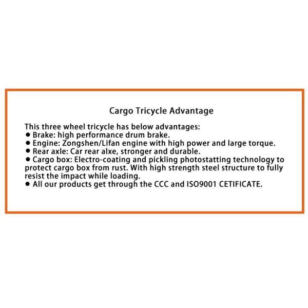 3-Wheel Cargo Motorcycle Truck 800kg Load Capacity Petrol Engine