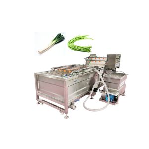500kg/H 3.75KW SUS 304 Apricot Celery Washing Machine