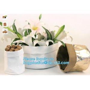 Eco-friendly, Custom Eco-friendly Lightweight Waterproof Dupont Paper Reusable