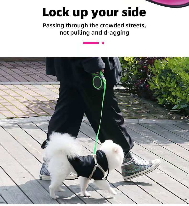 Traction Rope Simple Style Dogs Adjustable pet Leashes multi-color wlking